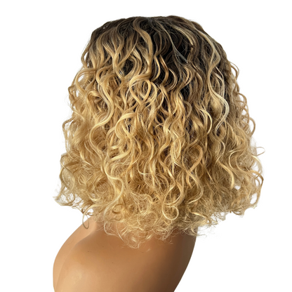 Amy - Two tone brown and blonde curly synthetic lace front wig